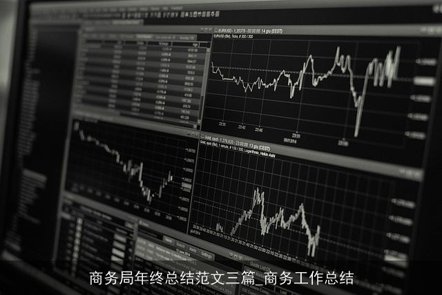 商务局年终总结范文三篇_商务工作总结 商务局年终总结范文三篇_商务工作总结