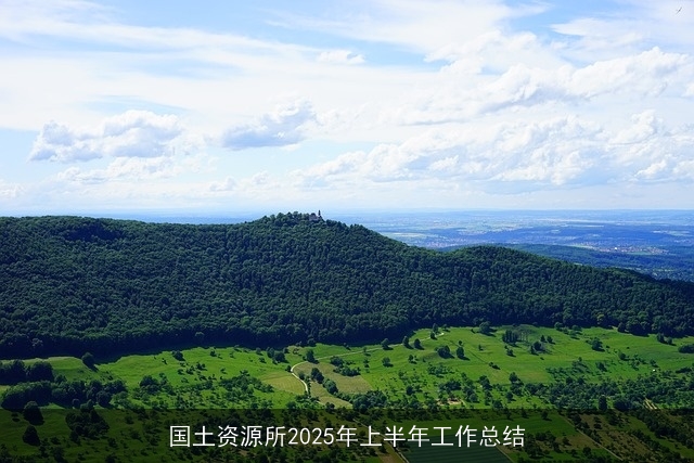 国土资源所2025年上半年工作总结 国土资源所2025年上半年工作总结