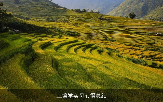 土壤学实习心得总结 土壤学实习心得总结