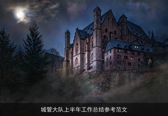 城管大队上半年工作总结参考范文 城管大队上半年工作总结参考范文