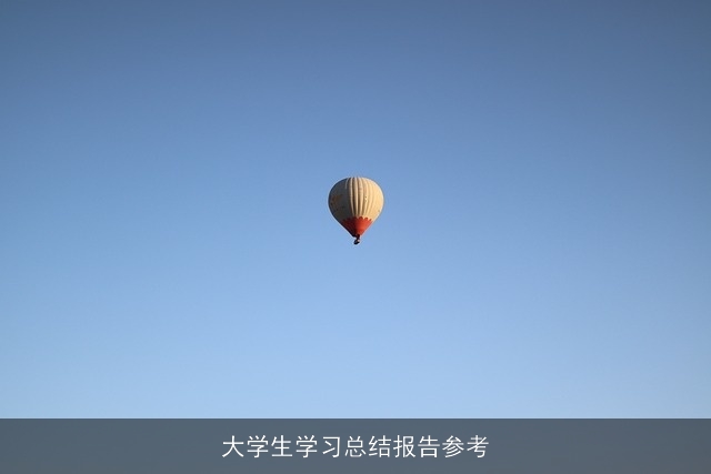 大学生学习总结报告参考 大学生学习总结报告参考