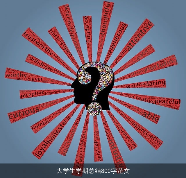 大学生学期总结800字范文 大学生学期总结800字范文