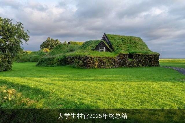 大学生村官2025年终总结 大学生村官2025年终总结