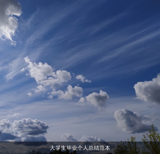 大学生毕业个人总结范本 大学生毕业个人总结范本