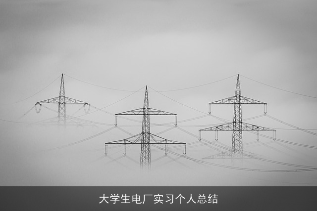 大学生电厂实习个人总结 大学生电厂实习个人总结