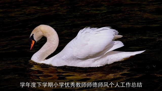 学年度下学期小学优秀教师师德师风个人工作总结 学年度下学期小学优秀教师师德师风个人工作总结