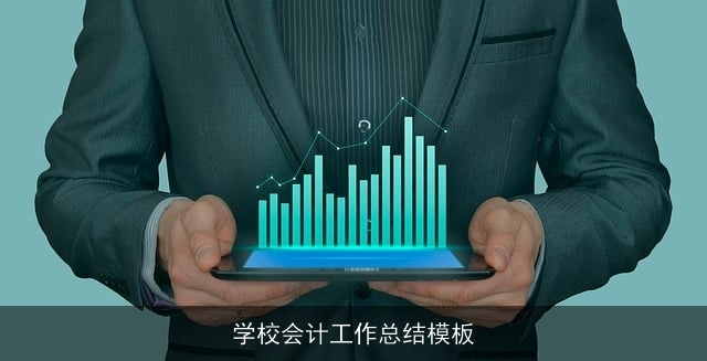 学校会计工作总结模板 学校会计工作总结模板