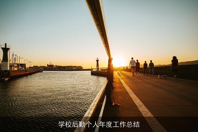 学校后勤个人年度工作总结 学校后勤个人年度工作总结