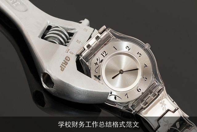 学校财务工作总结格式范文 学校财务工作总结格式范文