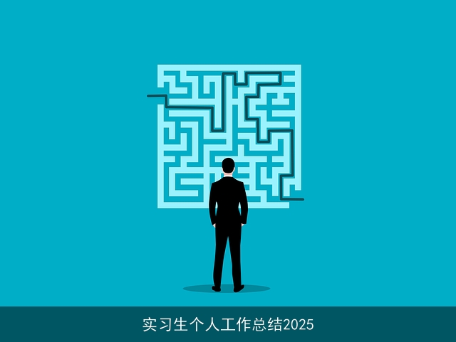 实习生个人工作总结2025 实习生个人工作总结2025