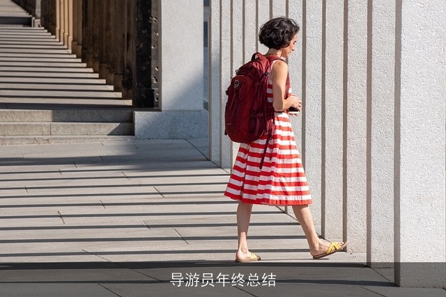 导游员年终总结 导游员年终总结