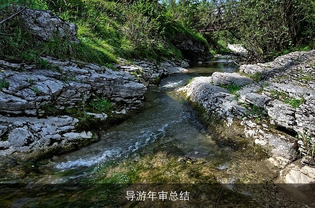 导游年审总结 导游年审总结