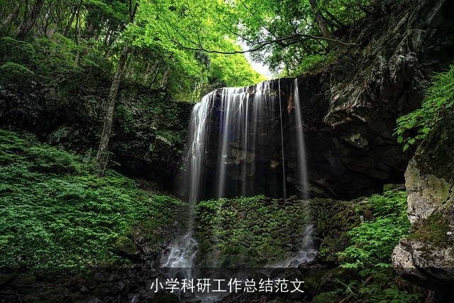 小学科研工作总结范文 小学科研工作总结范文