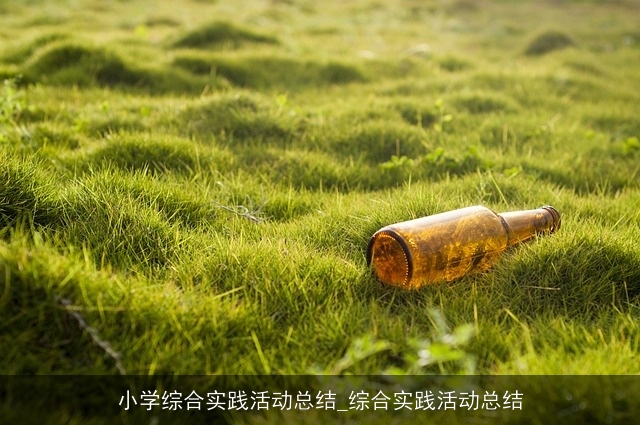 小学综合实践活动总结_综合实践活动总结 小学综合实践活动总结_综合实践活动总结
