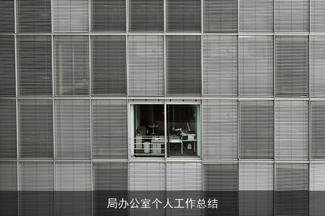 局办公室个人工作总结 局办公室个人工作总结