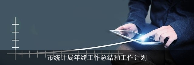 市统计局年终工作总结和工作计划 市统计局年终工作总结和工作计划