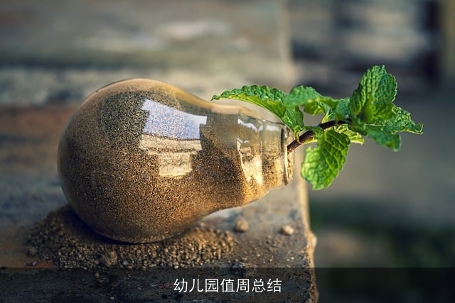 幼儿园值周总结 幼儿园值周总结