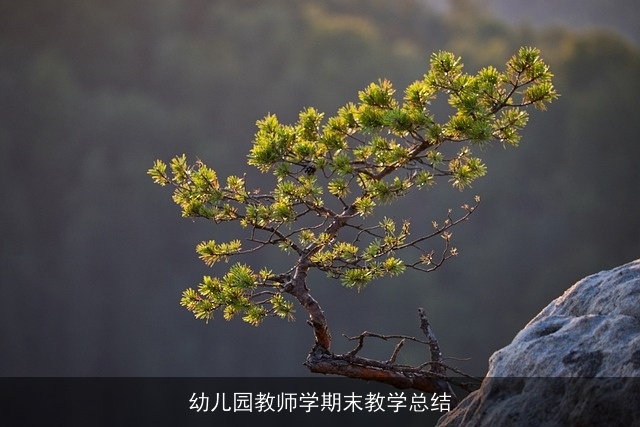 幼儿园教师学期末教学总结 幼儿园教师学期末教学总结