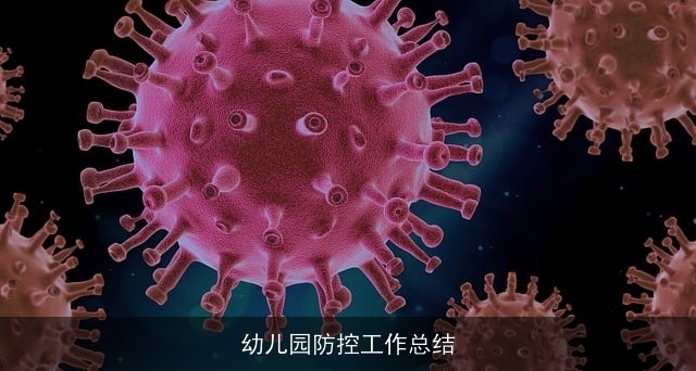 幼儿园防控工作总结 幼儿园防控工作总结