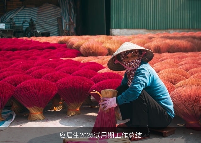 应届生2025试用期工作总结 应届生2025试用期工作总结
