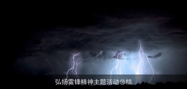 弘扬雷锋精神主题活动总结 弘扬雷锋精神主题活动总结