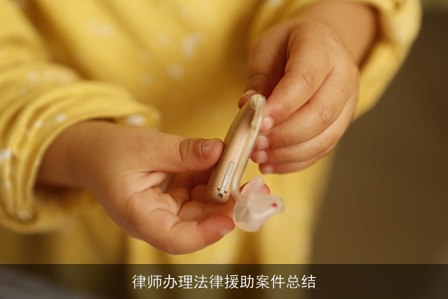 律师办理法律援助案件总结 律师办理法律援助案件总结