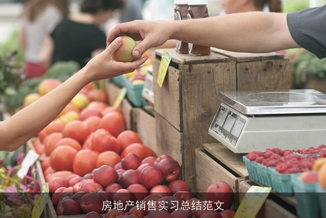 房地产销售实习总结范文 房地产销售实习总结范文