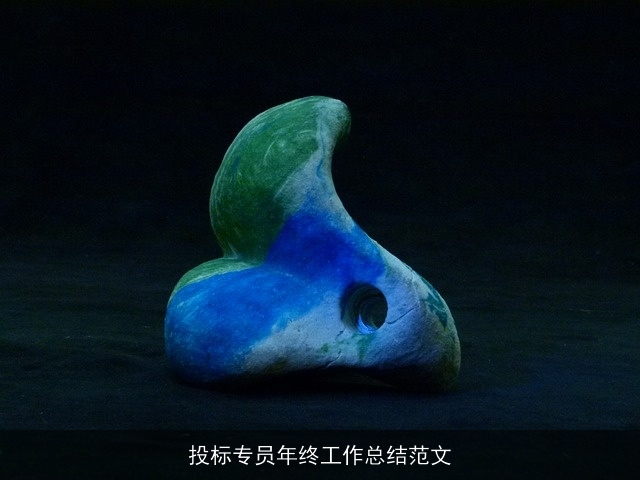 投标专员年终工作总结范文 投标专员年终工作总结范文