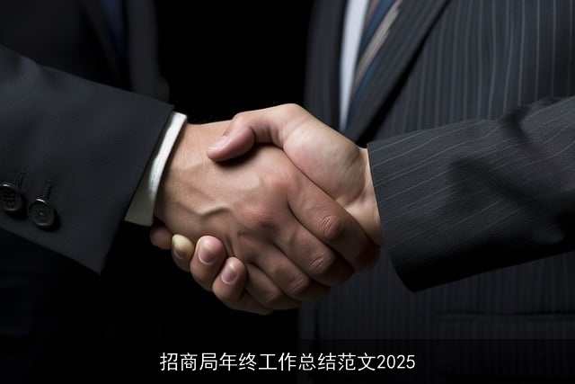 招商局年终工作总结范文2025 招商局年终工作总结范文2025