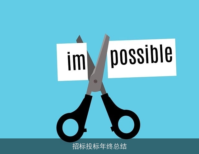 招标投标年终总结 招标投标年终总结