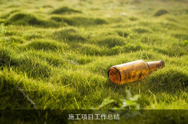 施工项目工作总结 施工项目工作总结