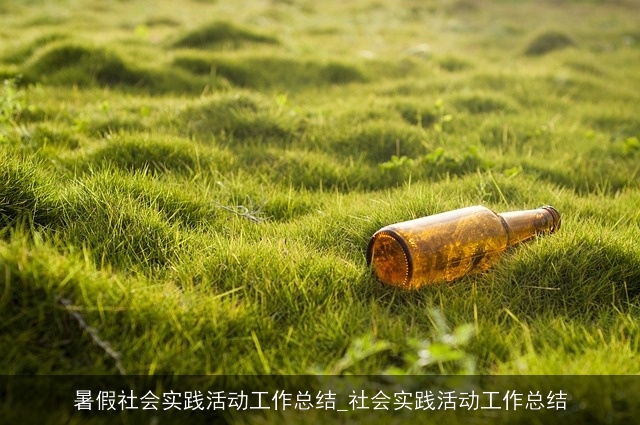 暑假社会实践活动工作总结_社会实践活动工作总结 暑假社会实践活动工作总结_社会实践活动工作总结
