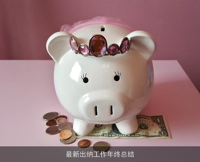 最新出纳工作年终总结 最新出纳工作年终总结