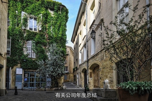 有关公司年度总结 有关公司年度总结