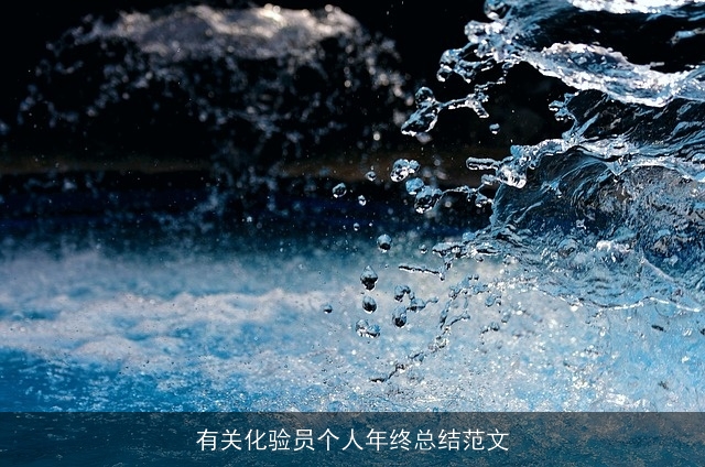 有关化验员个人年终总结范文 有关化验员个人年终总结范文