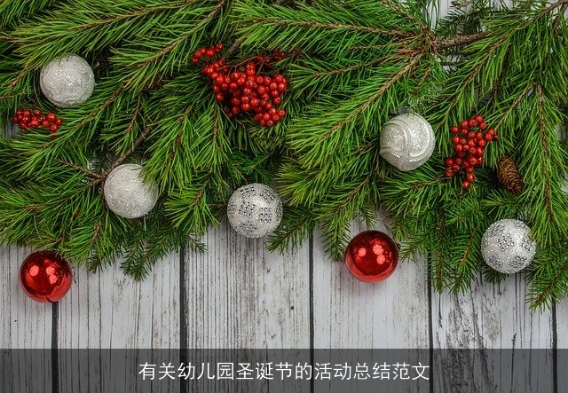 有关幼儿园圣诞节的活动总结范文 有关幼儿园圣诞节的活动总结范文