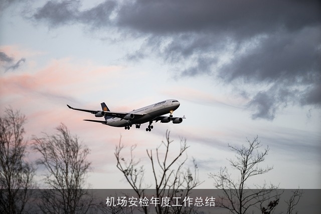 机场安检年度工作总结 机场安检年度工作总结