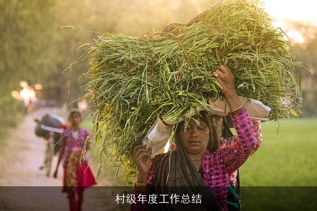 村级年度工作总结 村级年度工作总结