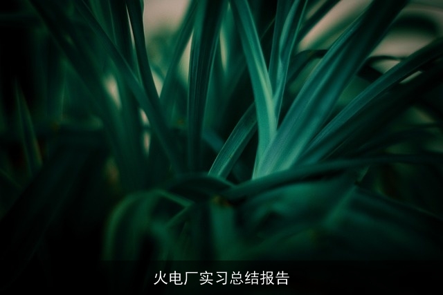 火电厂实习总结报告 火电厂实习总结报告