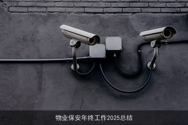 物业保安年终工作2025总结 物业保安年终工作2025总结