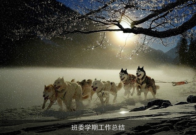 班委学期工作总结 班委学期工作总结