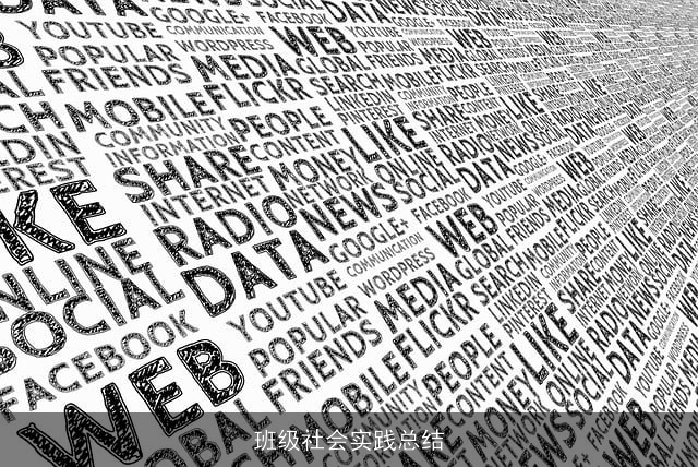 班级社会实践总结 班级社会实践总结