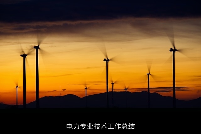 电力专业技术工作总结 电力专业技术工作总结