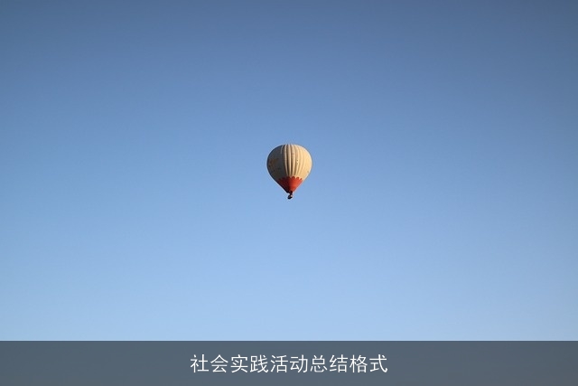 社会实践活动总结格式 社会实践活动总结格式