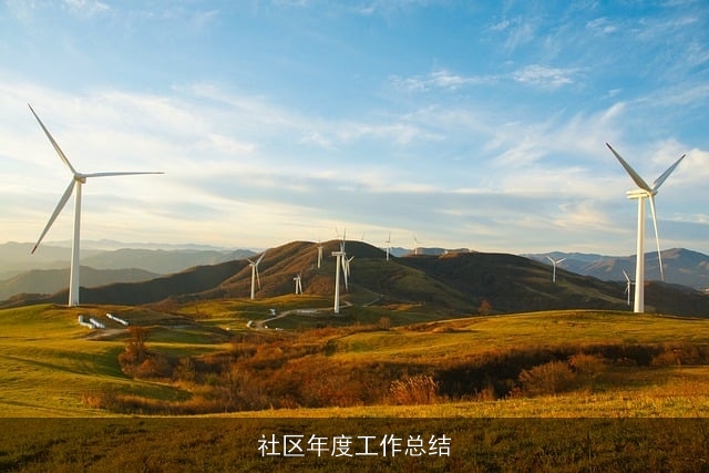 社区年度工作总结 社区年度工作总结