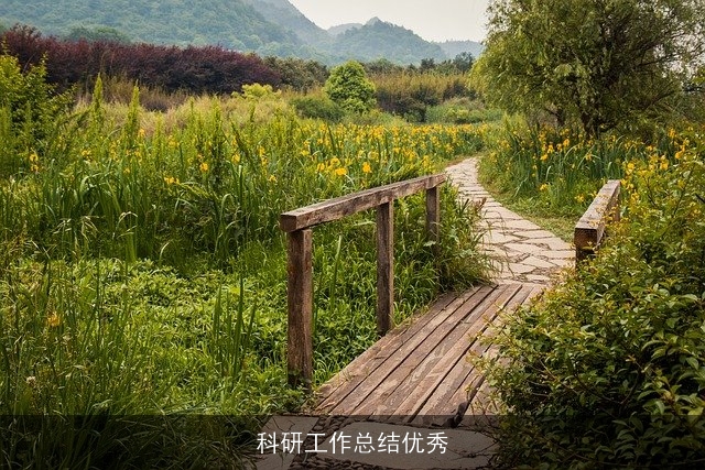 科研工作总结优秀 科研工作总结优秀