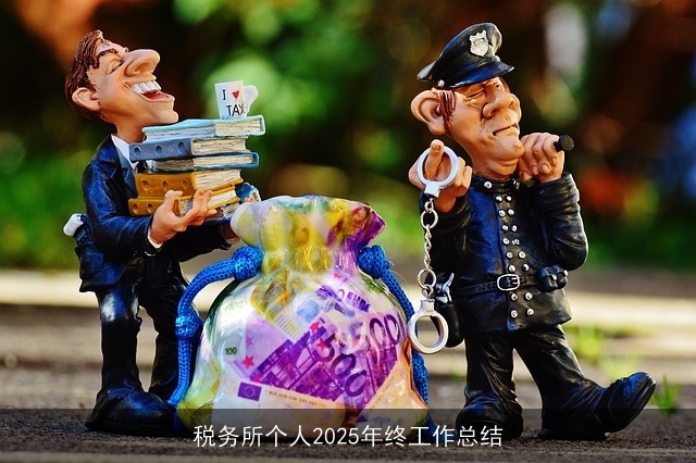 税务所个人2025年终工作总结 税务所个人2025年终工作总结