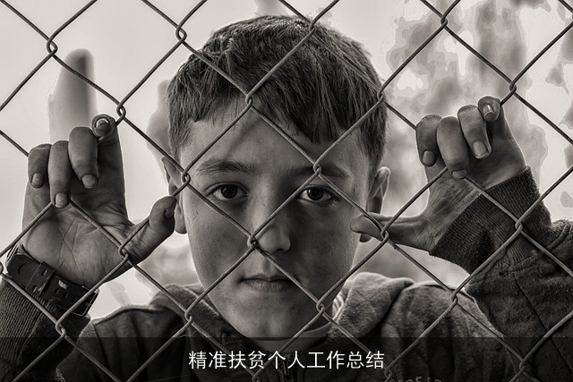 精准扶贫个人工作总结 精准扶贫个人工作总结