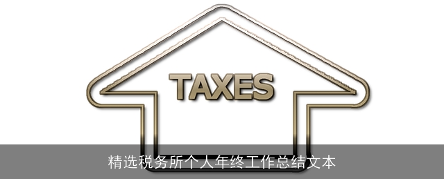 精选税务所个人年终工作总结文本 精选税务所个人年终工作总结文本