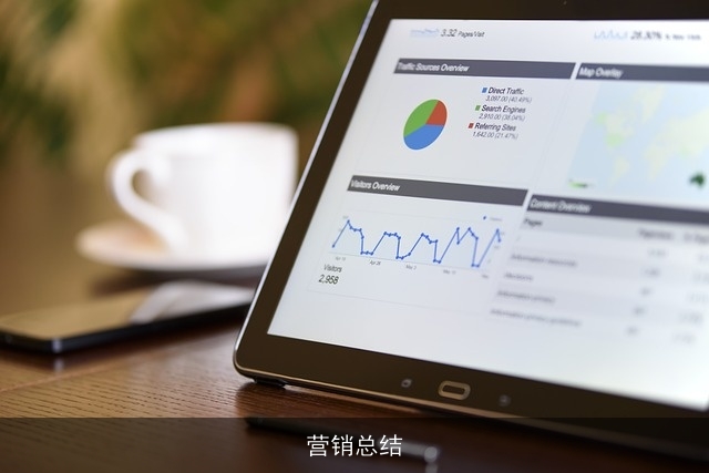营销总结 营销总结